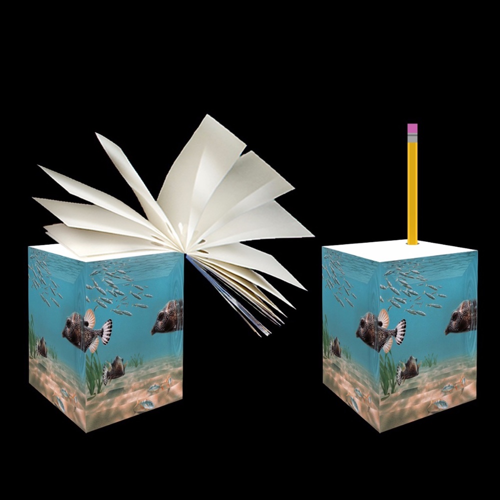 Ocean Sanctuary Note Cube:Jumbo 5" tall w/Pencil Hole Drilled(The Shallows) new!